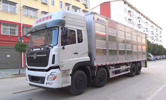 東風天龍鋁合金運豬車